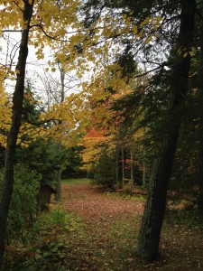 One of the walking paths in the fall
